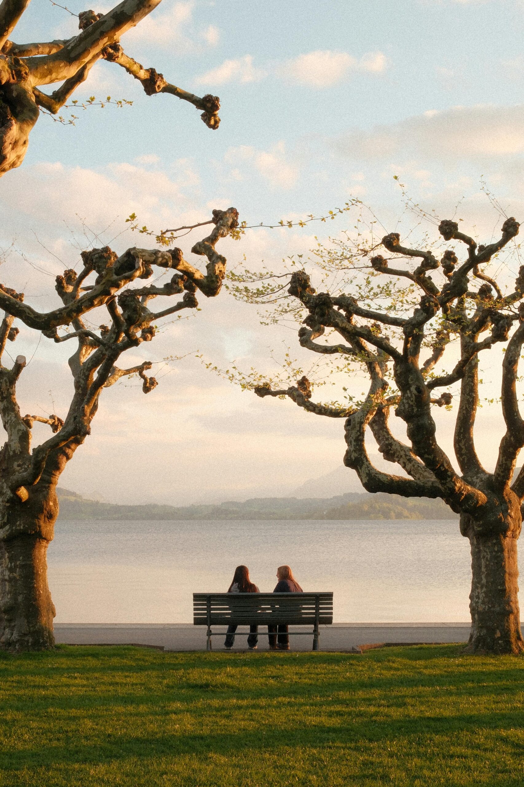 A serene moment by the lake with two people on a bench under trees, Zug, Switzerland.