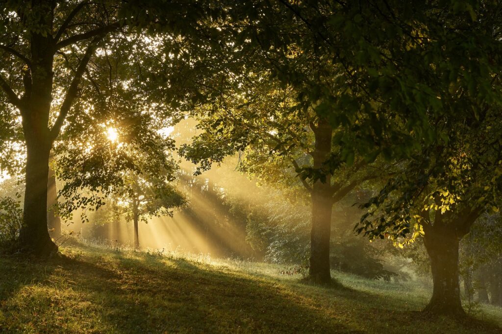 Central sensitization and chronic pain relief represented by a calming, supportive background.