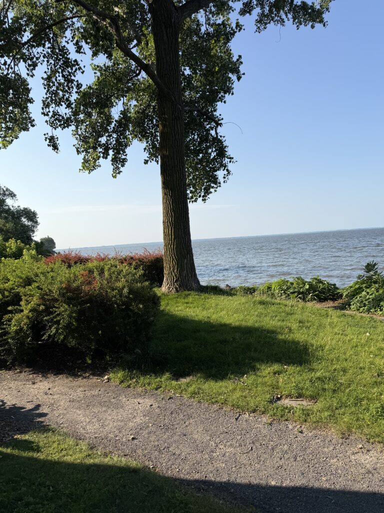 Why Change Feels Hard: How Feeling Safe Matters Feeling safe before change: A peaceful forest path beside a lake with warm morning light illuminating the trail and a mature tree in the background, symbolizing safety, trust, and moving forward one step at a time.